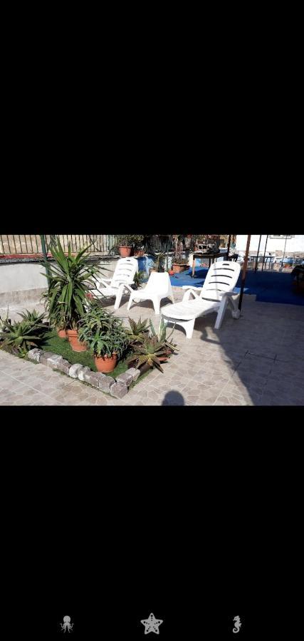 Vacanze Da Angela - Orto Botanico Napoli Eksteriør bilde