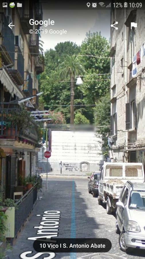 Vacanze Da Angela - Orto Botanico Napoli Eksteriør bilde